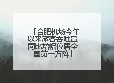 合肥机场今年以来旅客吞吐量同比增幅位居全国第一方阵
