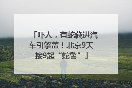 吓人，有蛇藏进汽车引擎盖！北京9天接9起“蛇警”