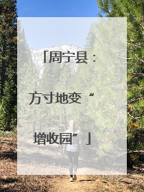 周宁县：方寸地变“增收园”