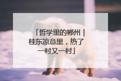 哲学里的郴州｜桂东凉意里，热了一村又一村
