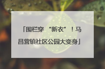 围栏穿 “新衣”！马昌营镇社区公园大变身