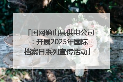 国网确山县供电公司：开展2025年国际档案日系列宣传活动
