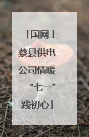 国网上蔡县供电公司情暖“七一”践初心