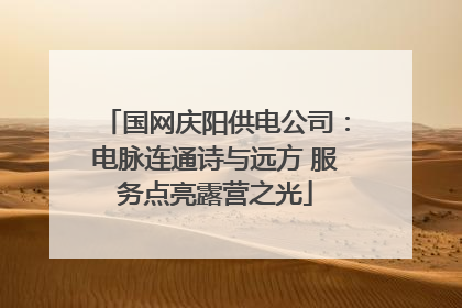国网庆阳供电公司：电脉连通诗与远方 服务点亮露营之光