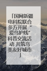 国网新疆电科院联合多方开展“爱鸟护线”科普交流活动 共筑鸟类友好城市