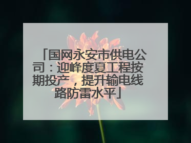 国网永安市供电公司：迎峰度夏工程按期投产，提升输电线路防雷水平