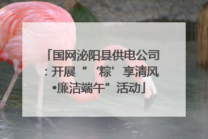 国网泌阳县供电公司：开展“‘粽’享清风 •廉洁端午”活动