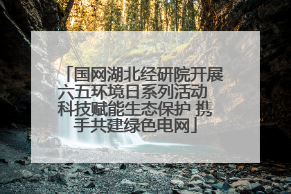 国网湖北经研院开展六五环境日系列活动 科技赋能生态保护 携手共建绿色电网
