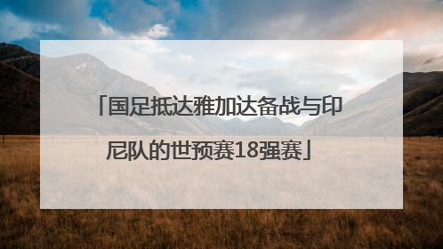 国足抵达雅加达备战与印尼队的世预赛18强赛