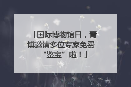 国际博物馆日，青博邀请多位专家免费“鉴宝”啦！
