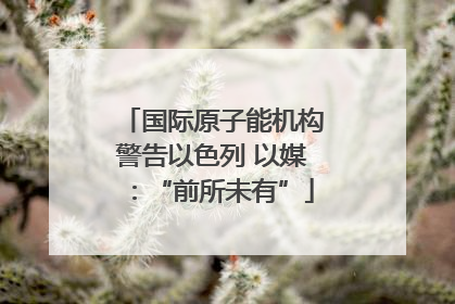 国际原子能机构警告以色列 以媒：“前所未有”