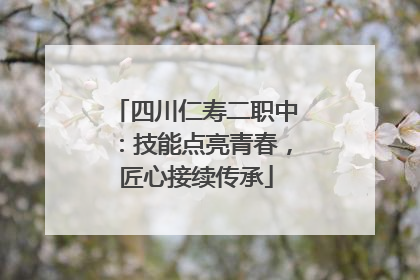 四川仁寿二职中：技能点亮青春，匠心接续传承