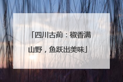 四川古蔺：椒香满山野，鱼跃出美味