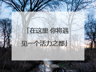 在这里 你将遇见一个活力之都