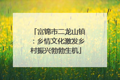 富锦市二龙山镇：乡情文化激发乡村振兴勃勃生机