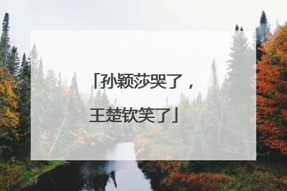 孙颖莎哭了，王楚钦笑了