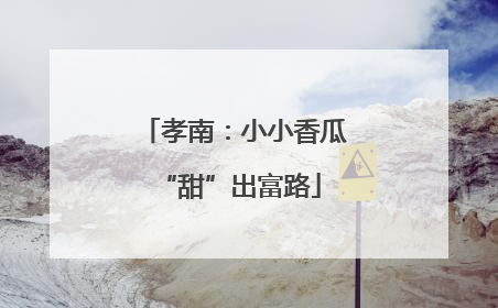 孝南：小小香瓜 “甜”出富路