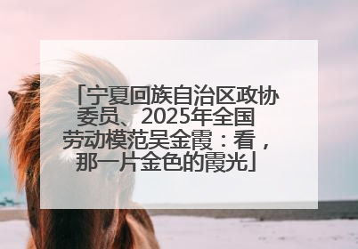 宁夏回族自治区政协委员、2025年全国劳动模范吴金霞：看，那一片金色的霞光