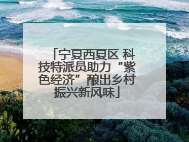 宁夏西夏区 科技特派员助力“紫色经济”酿出乡村振兴新风味