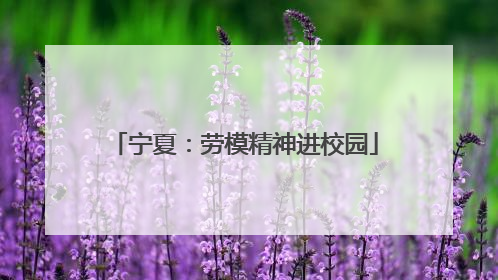 宁夏：劳模精神进校园