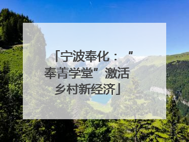 宁波奉化:“奉菁学堂”激活乡村新经济