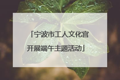 宁波市工人文化宫开展端午主题活动