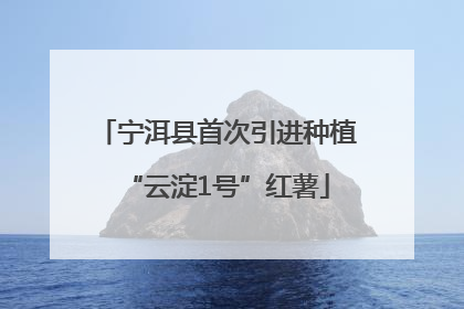 宁洱县首次引进种植“云淀1号”红薯