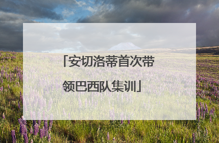 安切洛蒂首次带领巴西队集训