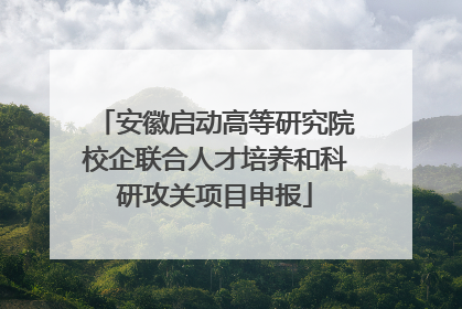 安徽启动高等研究院校企联合人才培养和科研攻关项目申报
