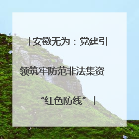 安徽无为：党建引领筑牢防范非法集资“红色防线”