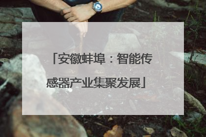 安徽蚌埠：智能传感器产业集聚发展