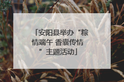 安阳县举办“粽情端午 香囊传情”主题活动