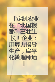 定制农业在“北国粮都”茁壮生长！企业：用算力指导生产，扁平化管理种地