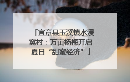 宜章县玉溪镇水浸窝村：万亩杨梅开启夏日“甜蜜经济”