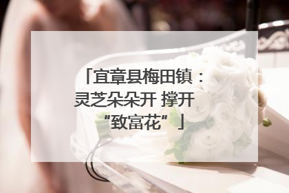 宜章县梅田镇：灵芝朵朵开 撑开“致富花”