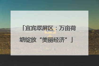 宜宾翠屏区：万亩荷塘绽放“美丽经济”