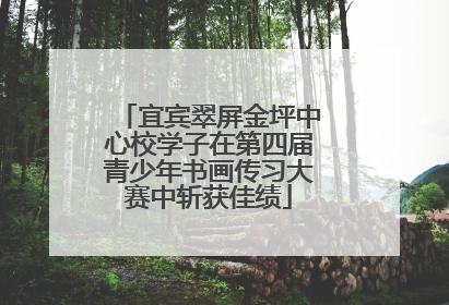 宜宾翠屏金坪中心校学子在第四届青少年书画传习大赛中斩获佳绩
