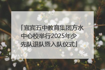 宜宾五中教育集团方水中心校举行2025年少先队退队暨入队仪式