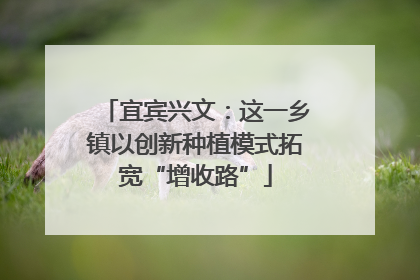 宜宾兴文：这一乡镇以创新种植模式拓宽“增收路”