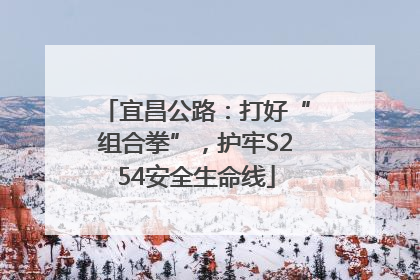 宜昌公路：打好“组合拳”，护牢S254安全生命线