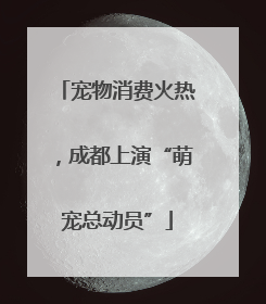 宠物消费火热，成都上演“萌宠总动员”