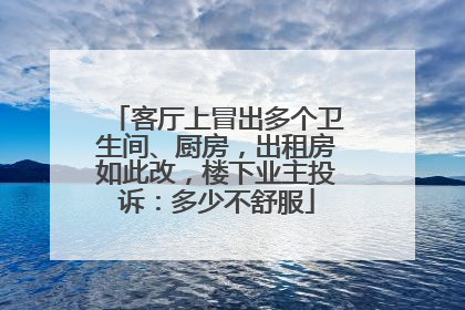客厅上冒出多个卫生间、厨房，出租房如此改，楼下业主投诉：多少不舒服