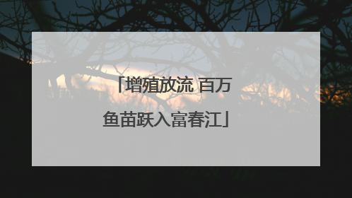 增殖放流 百万鱼苗跃入富春江