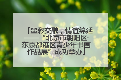 墨彩交融，情谊绵延——“北京市朝阳区·东京都港区青少年书画作品展”成功举办