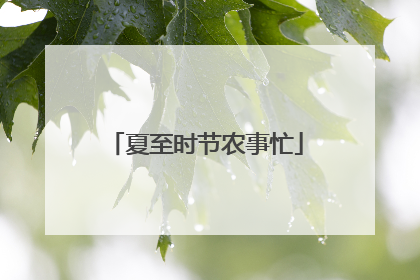 夏至时节农事忙