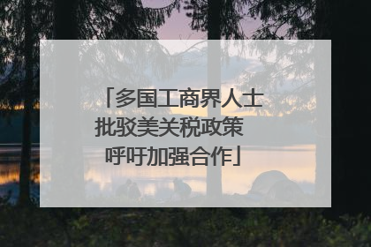 多国工商界人士批驳美关税政策 呼吁加强合作