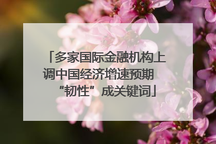 多家国际金融机构上调中国经济增速预期 “韧性”成关键词