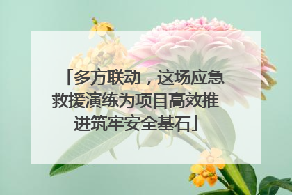 多方联动，这场应急救援演练为项目高效推进筑牢安全基石