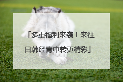 多重福利来袭！来往日韩经青中转更精彩