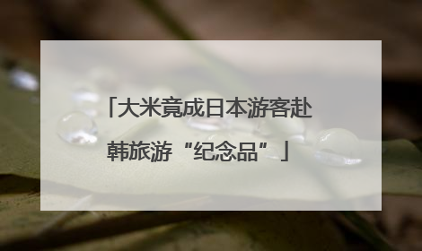 大米竟成日本游客赴韩旅游“纪念品”